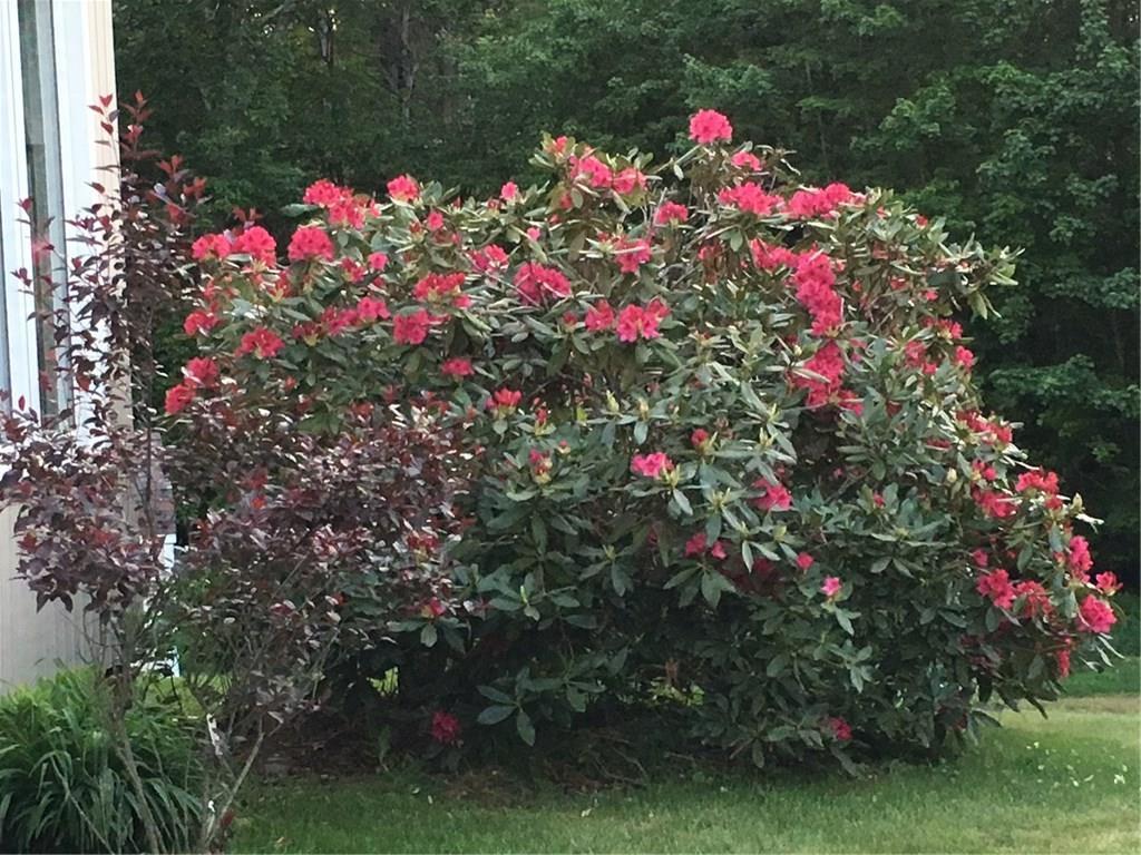 168 Randall Road North Berwick, ME 03906 - Photo 25 of 35 Photo