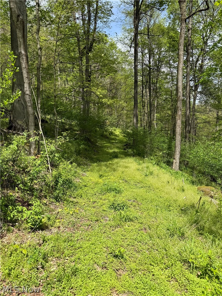 423 Township Road Walhonding, OH 43843 - Photo 24 of 41