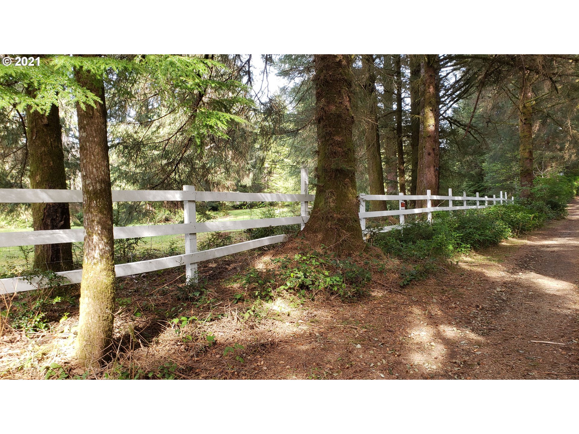 84275 Clear Lake Road Florence, OR 97439 - Photo 25 of 32 Gallery Image 25