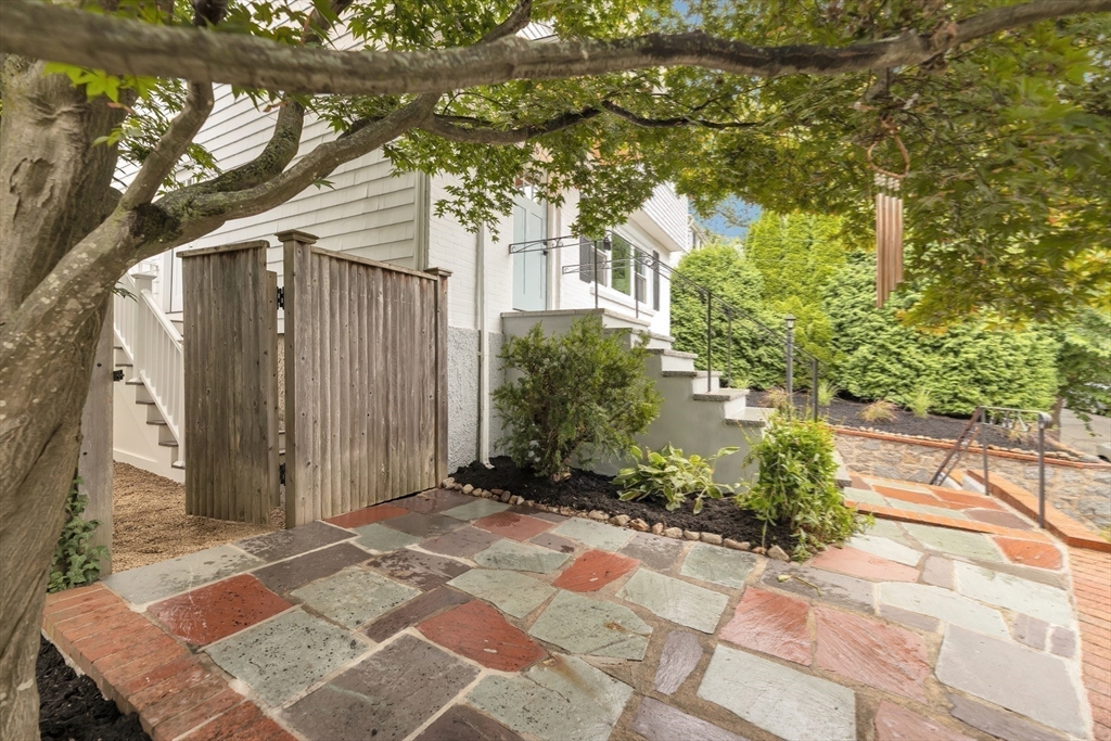 26 Crehore Road Boston, MA 02467 - Photo 27 of 33 a view of backyard with potted plants and a large tree