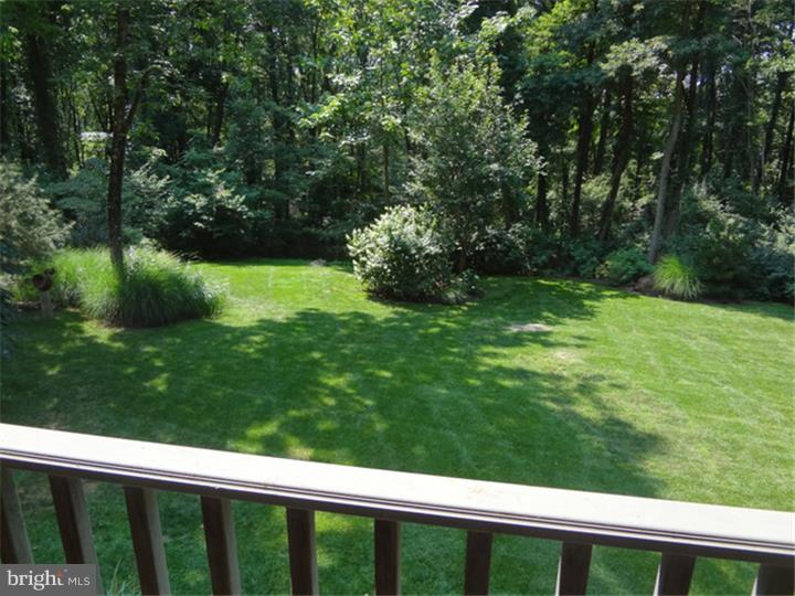 3461 Windy Bush Road New Hope, PA 18938 - Photo 16 of 25 Back Yard