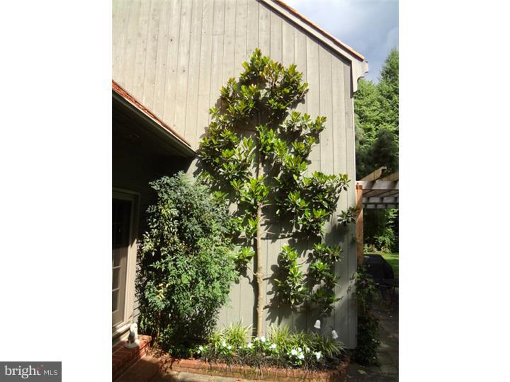 3461 Windy Bush Road New Hope, PA 18938 - Photo 19 of 25 Patio