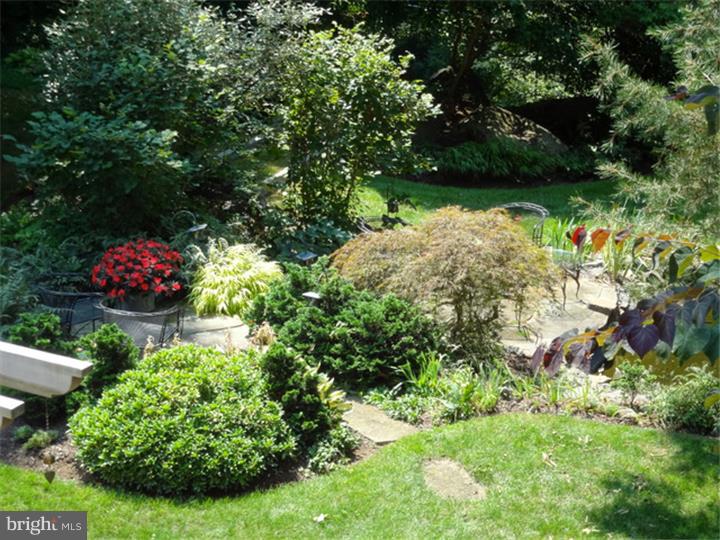 3461 Windy Bush Road New Hope, PA 18938 - Photo 20 of 25 Back Yard