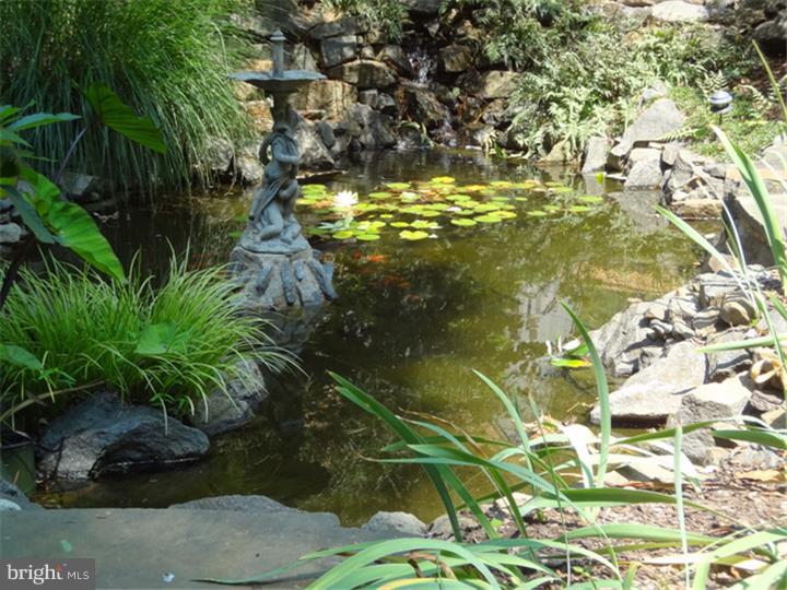 3461 Windy Bush Road New Hope, PA 18938 - Photo 21 of 25 Lake / Pond