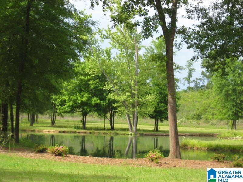 178 Olde Springs Road, Unit 24 Anniston, AL 36207 - Photo 11 of 37