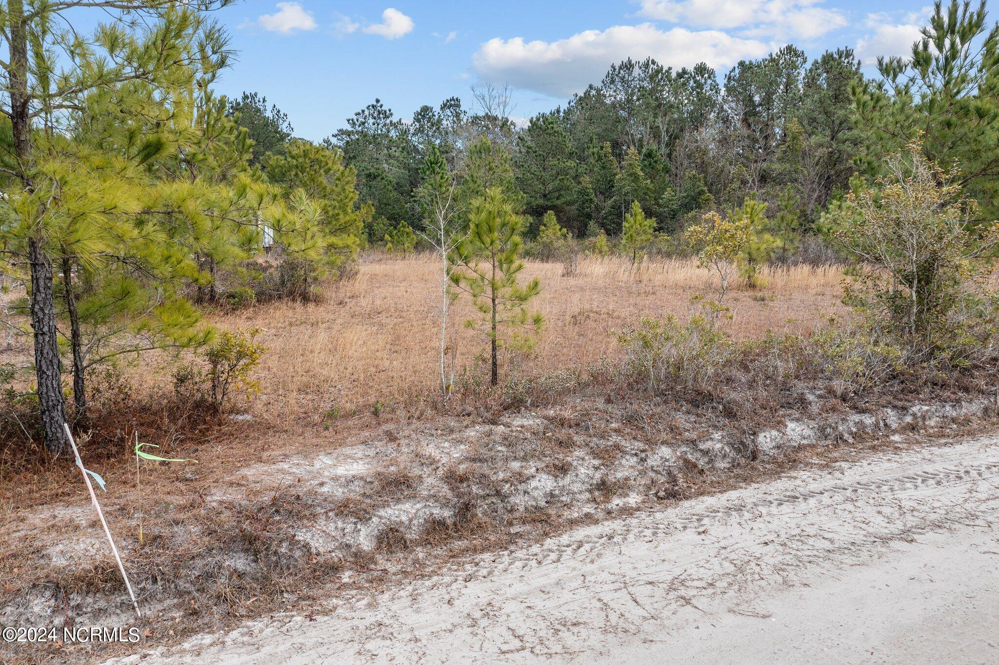 39 A Pilchers Branch Road Holly Ridge, NC 28445 - Photo 7 of 22 4-web-or-mls-03