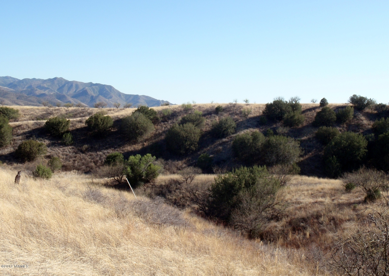 0 Temporal Road, Unit 1 Patagonia, AZ 85624 - Photo 10 of 19