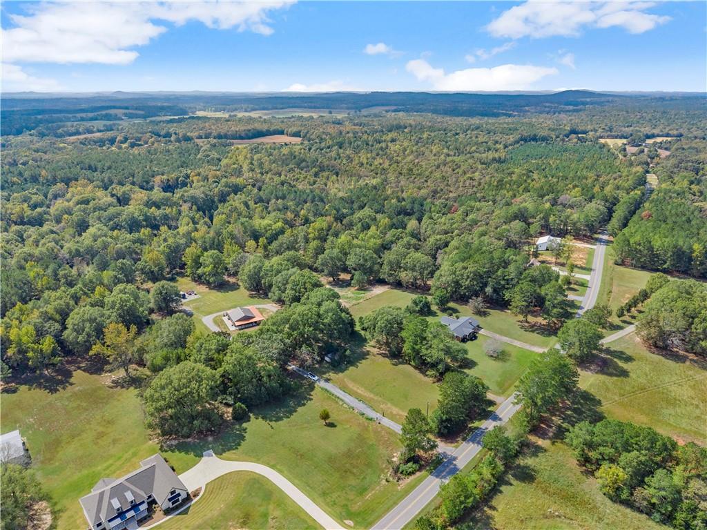 455 Cliff Nelson Road Taylorsville, GA 30178 - Photo 36 of 42 an aerial view of a residential houses with outdoor space and trees all around