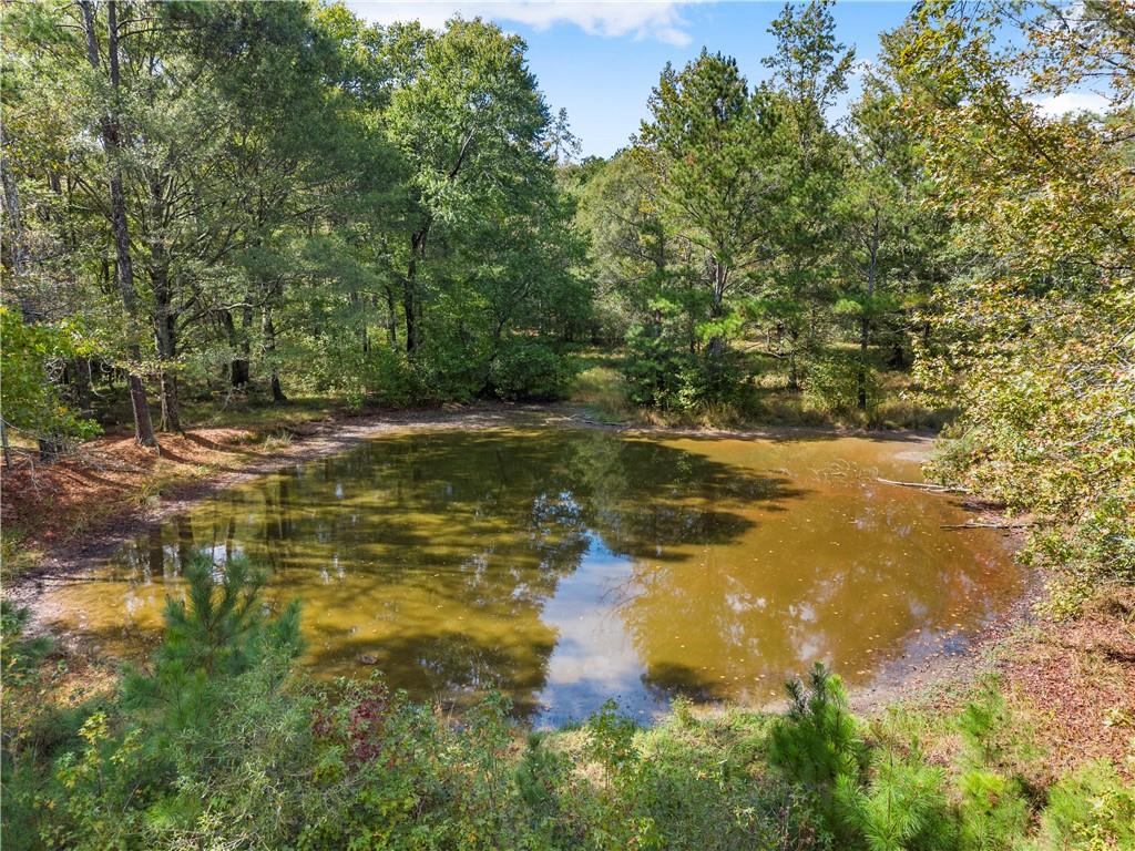 455 Cliff Nelson Road Taylorsville, GA 30178 - Photo 39 of 42 a view of a lake view