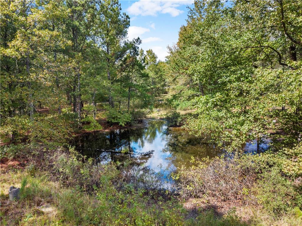 455 Cliff Nelson Road Taylorsville, GA 30178 - Photo 40 of 42 a view of a yard with plants and a bench