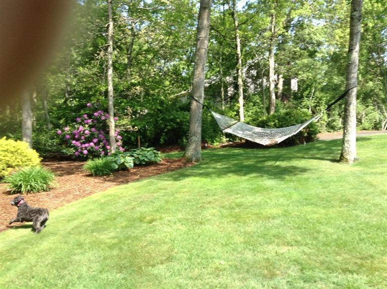 33 Bourne Hay Road Sandwich, MA 02563 - Photo 3 of 29 Additional Photo