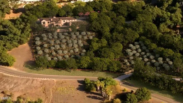 a view of a yard with wooden fence