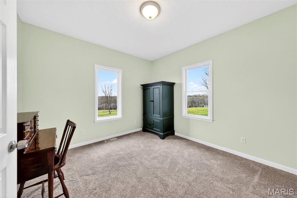 5301 Little Spring Creek Road Leslie, MO 63056 - Photo 19 of 67