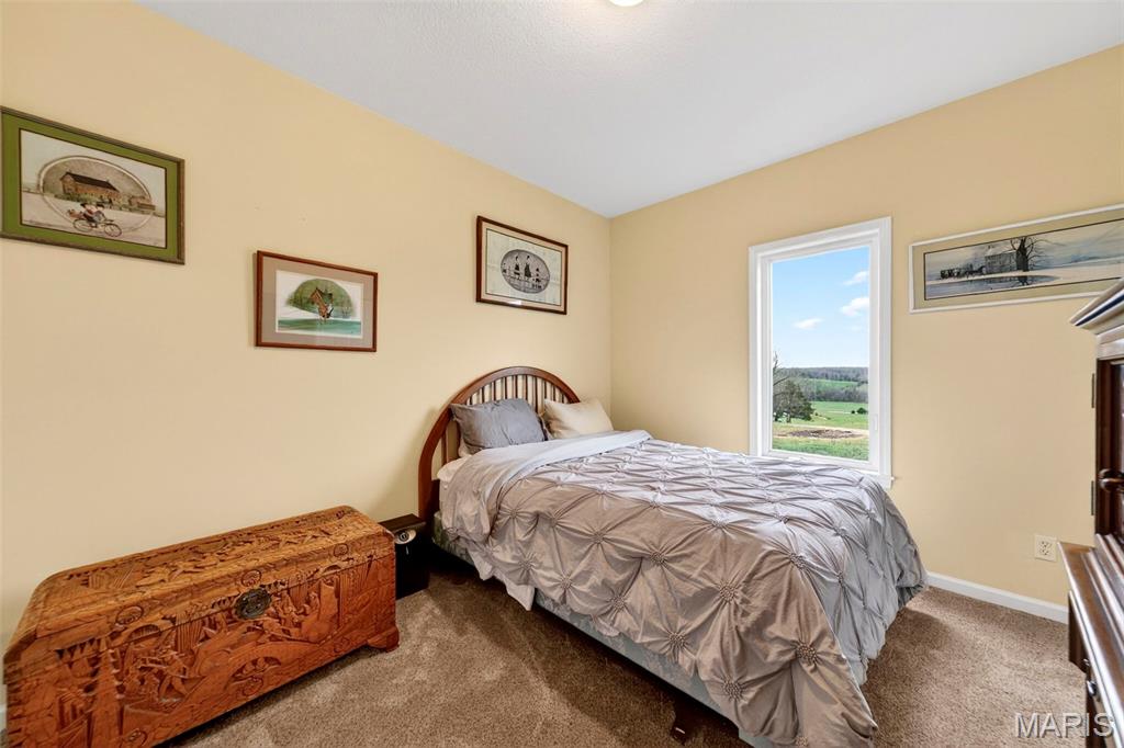 5301 Little Spring Creek Road Leslie, MO 63056 - Photo 22 of 67