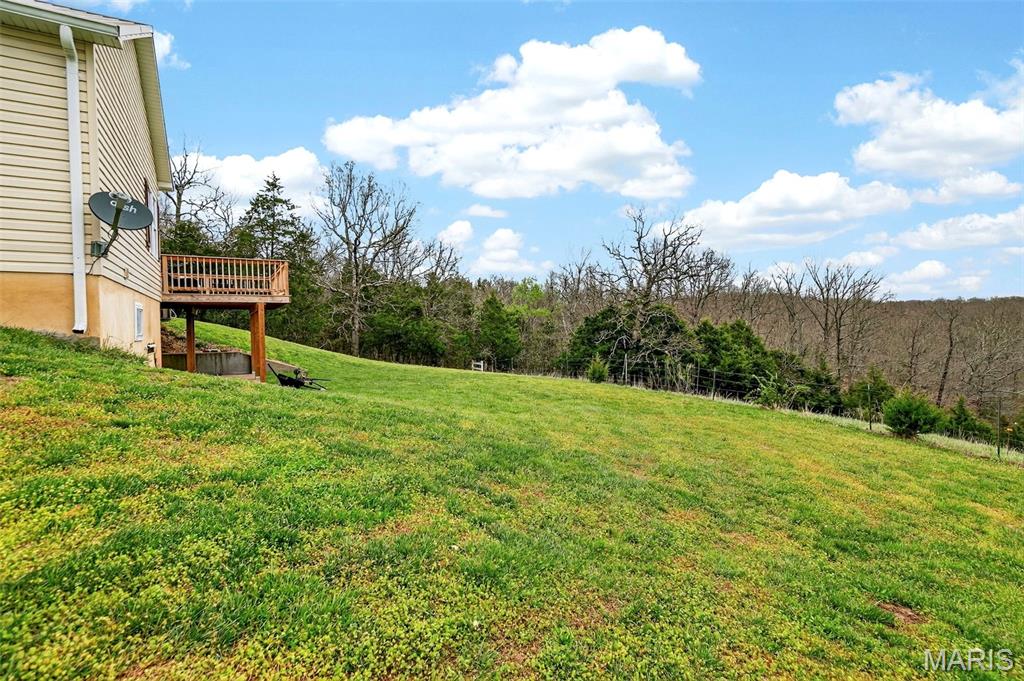 5301 Little Spring Creek Road Leslie, MO 63056 - Photo 67 of 76