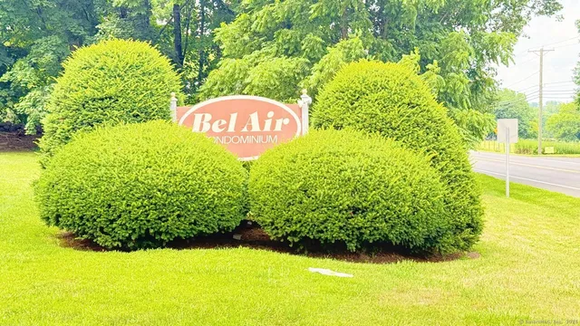 a view of a garden with a fountain