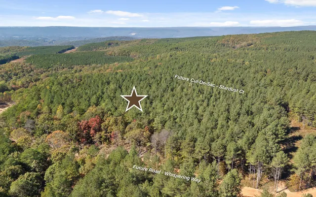 $210,000 | Lot 2003 Stardust Court, Guild, TN 37340