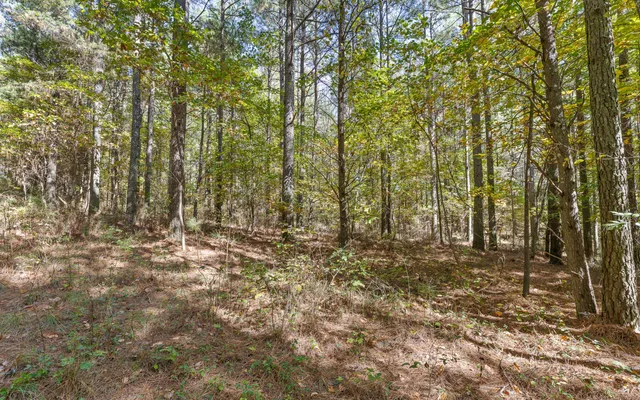 $210,000 | Lot 2003 Stardust Court, Guild, TN 37340