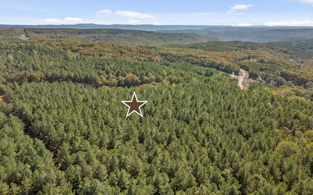 $210,000 | Lot 2003 Stardust Court, Guild, TN 37340