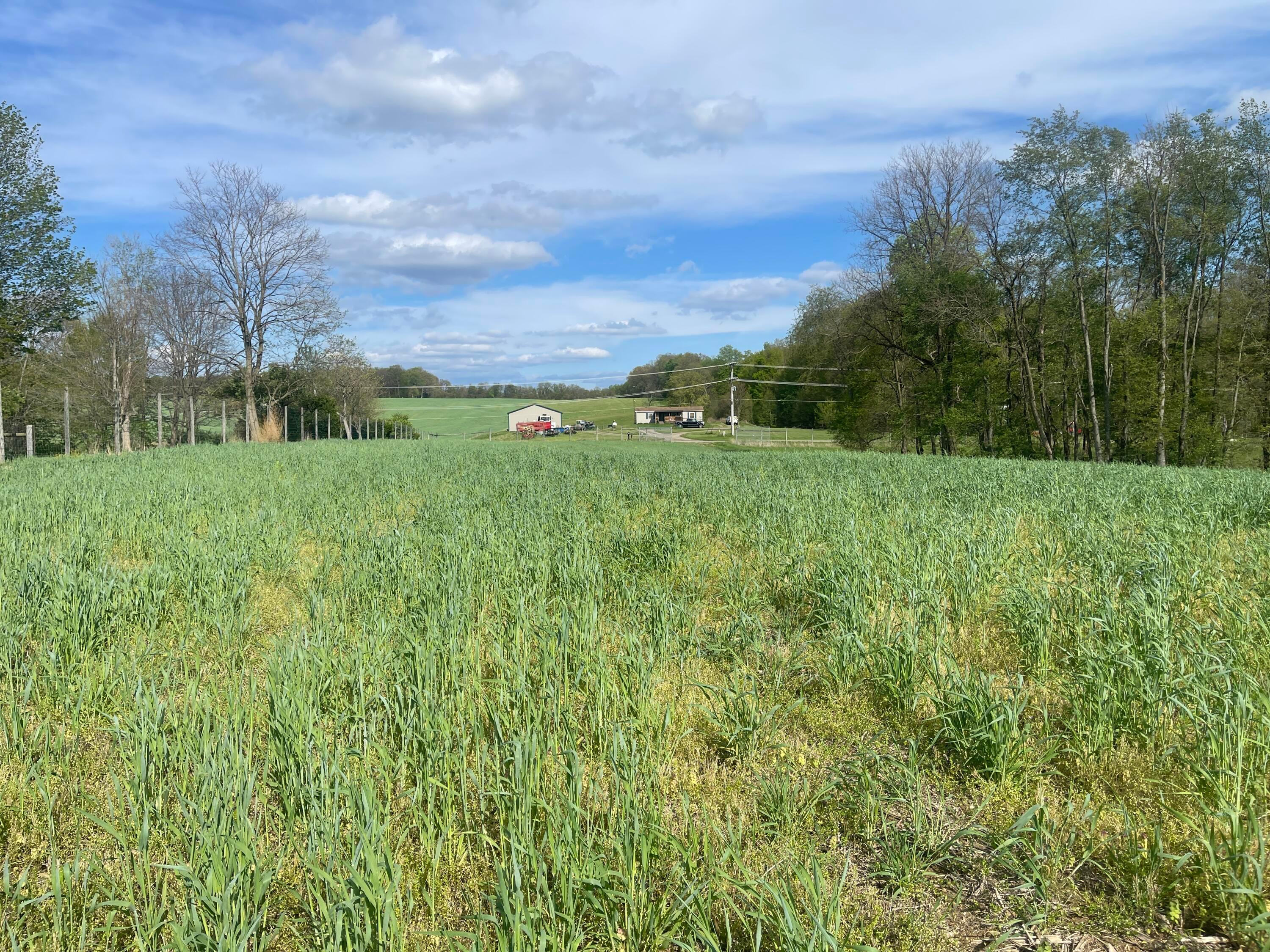 0 Monroe Mills Road Mount Vernon, OH 43050 - Photo 21 of 31 20