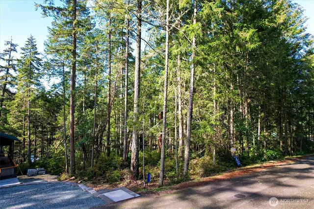 $175,000 | 11024 Matthews Way, Anderson Island, WA 98303