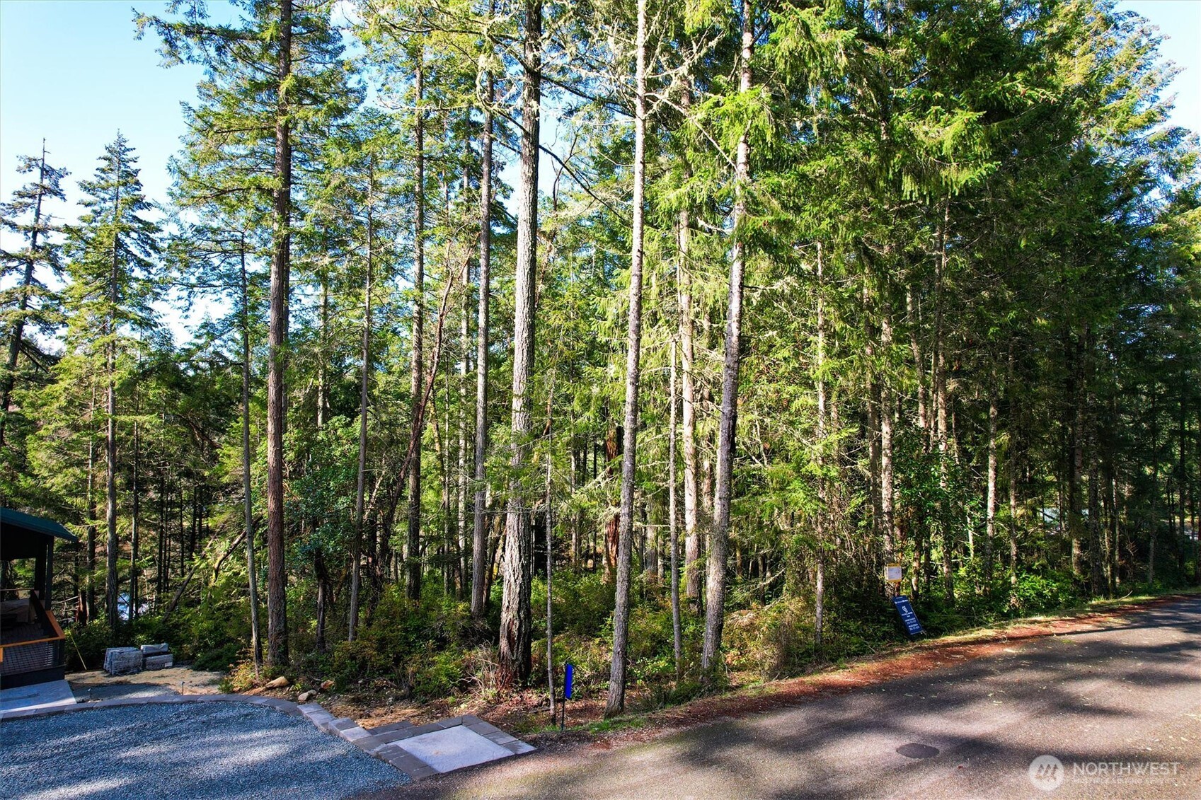 11024 Matthews Way Anderson Island, WA 98303 - Photo 10 of 23