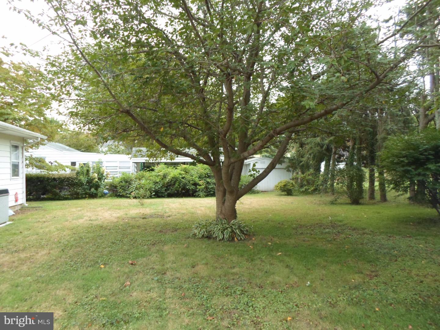 12 Spring Street Bridgeton, NJ 08302 - Photo 16 of 16 Gallery Image 16