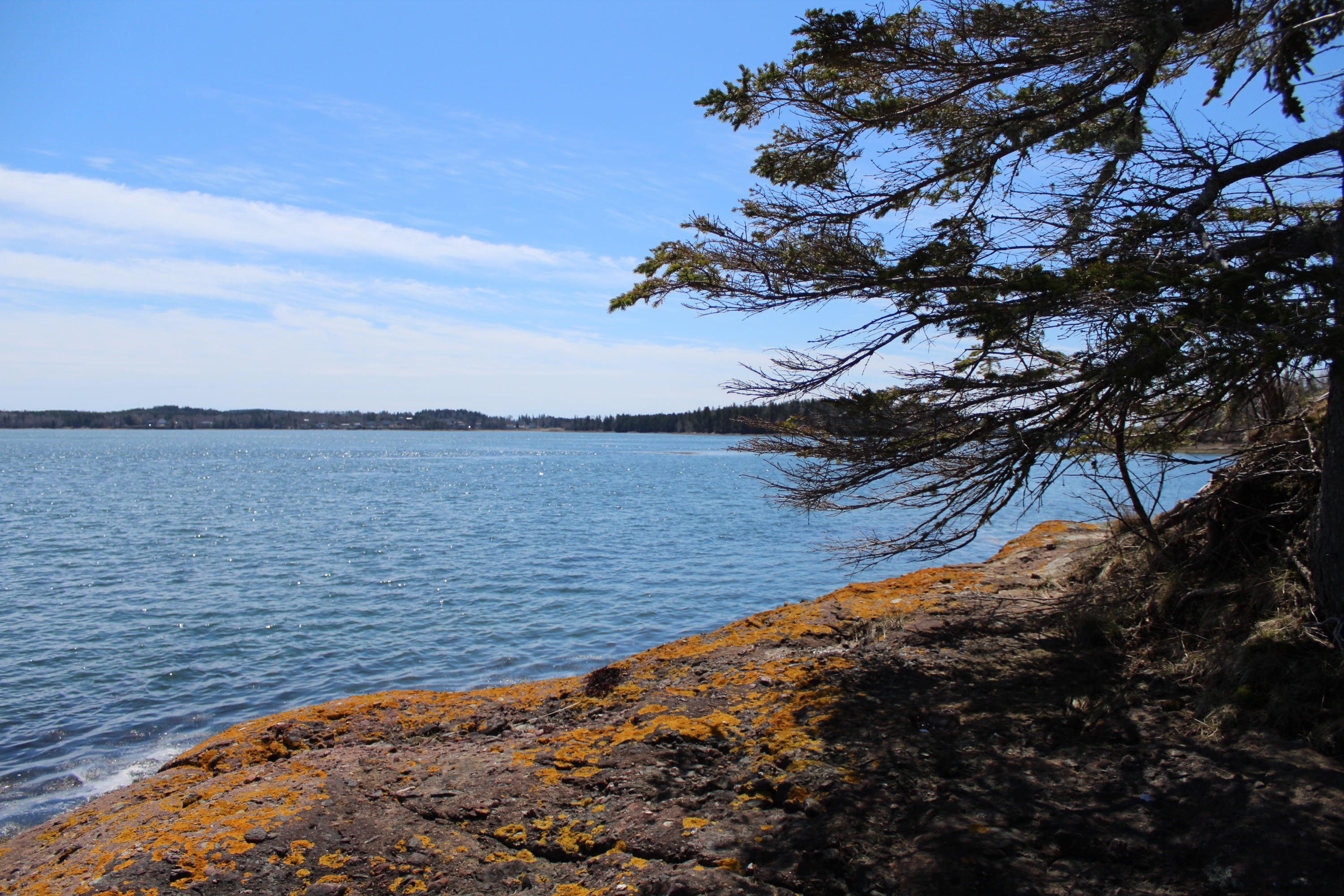 0 Old Eastport Road Perry, ME 04667 - Photo 1 of 25 IMG_3504