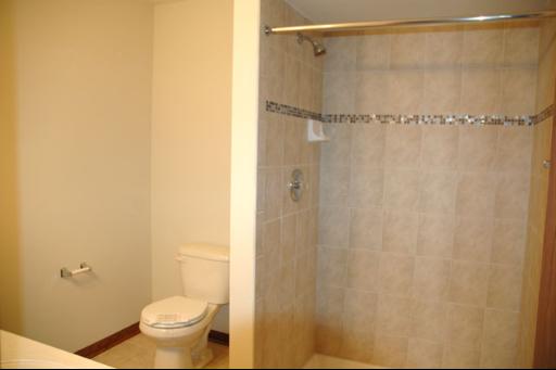 643 Enclave Lane Manteno, IL 60950 - Photo 11 of 12