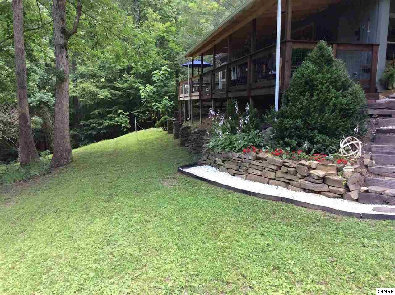 200 Cove Hollow Road Cosby, TN 37722 - Photo 1 of 23 Gallery Image 1