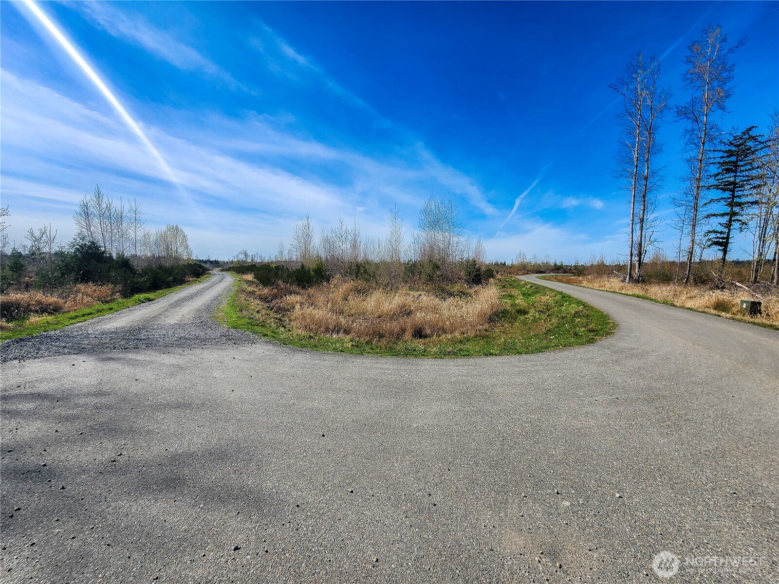 1631 334th Street South Roy, WA 98580 - Photo 9 of 10