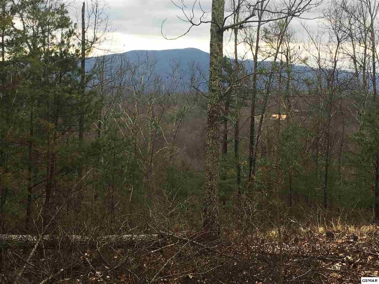 18 Stackstone Road Sevierville, TN 37862 - Photo 1 of 6