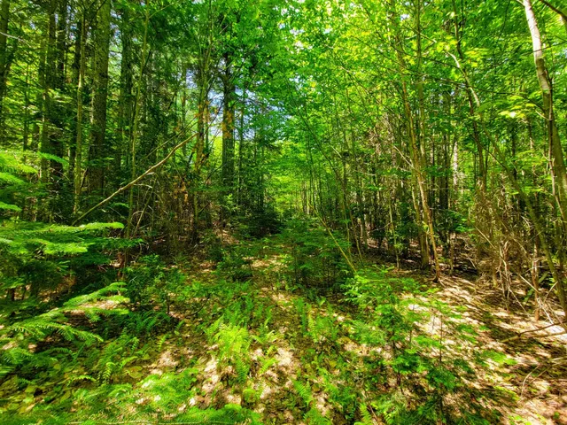 $389,000 | 280 Gorham Hill Road, Gorham, NH 03581