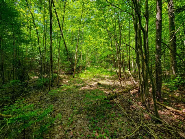 $389,000 | 280 Gorham Hill Road, Gorham, NH 03581