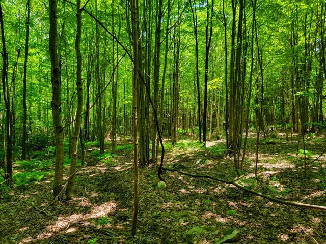 $389,000 | 280 Gorham Hill Road, Gorham, NH 03581