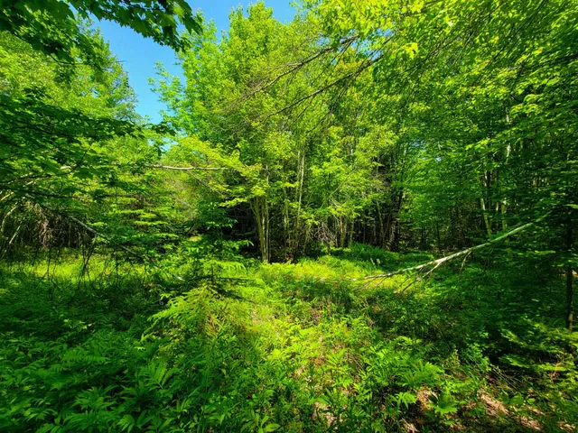 $389,000 | 280 Gorham Hill Road, Gorham, NH 03581