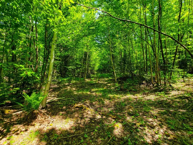 $389,000 | 280 Gorham Hill Road, Gorham, NH 03581