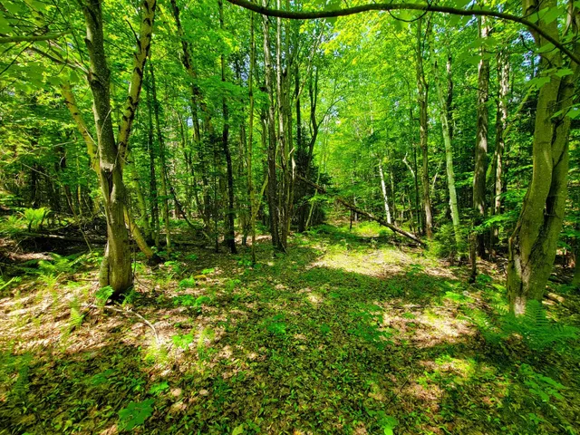 $389,000 | 280 Gorham Hill Road, Gorham, NH 03581