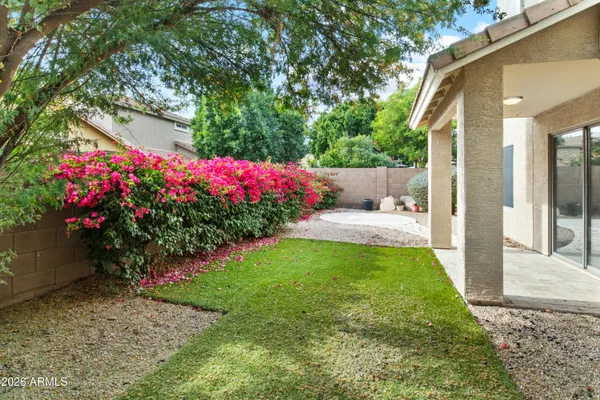 a view of a garden with flowers
