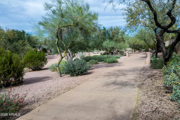 a view of a yard with plants and trees