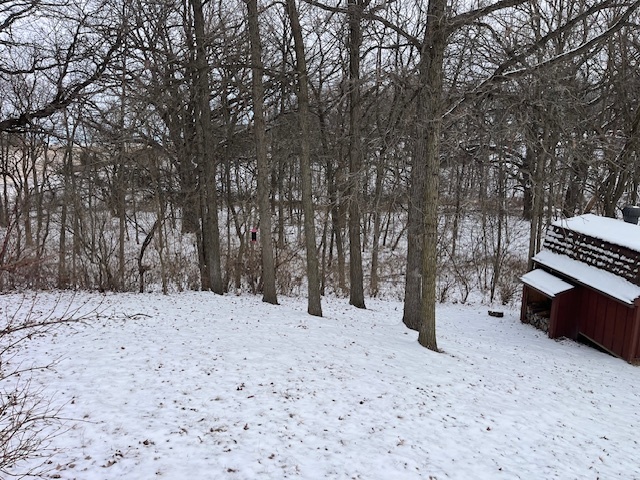 2795 East 28th Road Marseilles, IL 61341 - Photo 21 of 22 a view of outdoor space with trees