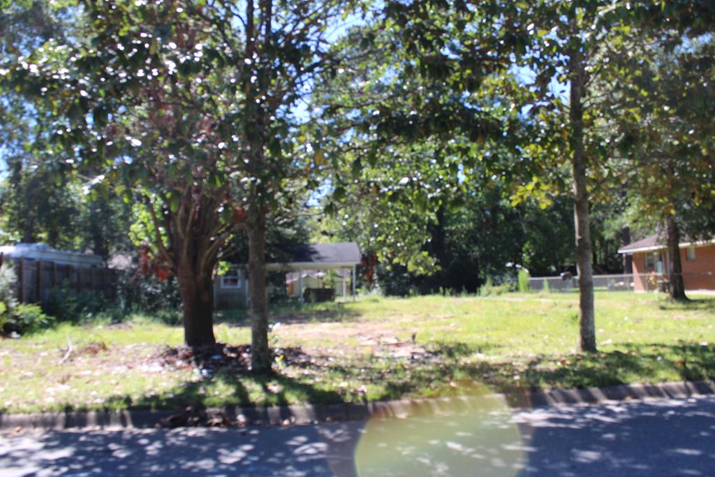 1301 West Powell Street Dothan, AL 36303 - Photo 1 of 1