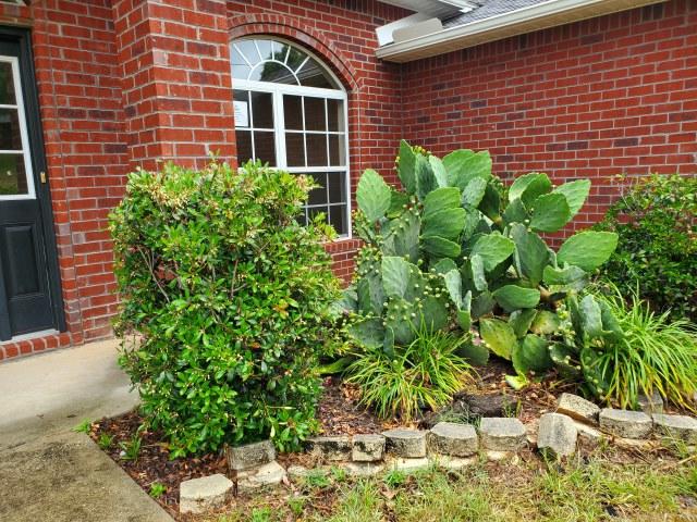 2677 Corner Creek Road Crestview, FL 32536 - Photo 2 of 14 20200518_124308