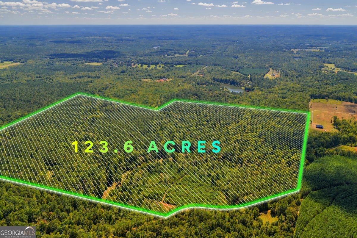 0 Abercrombie Road Culloden, GA 31016 - Photo 2 of 9