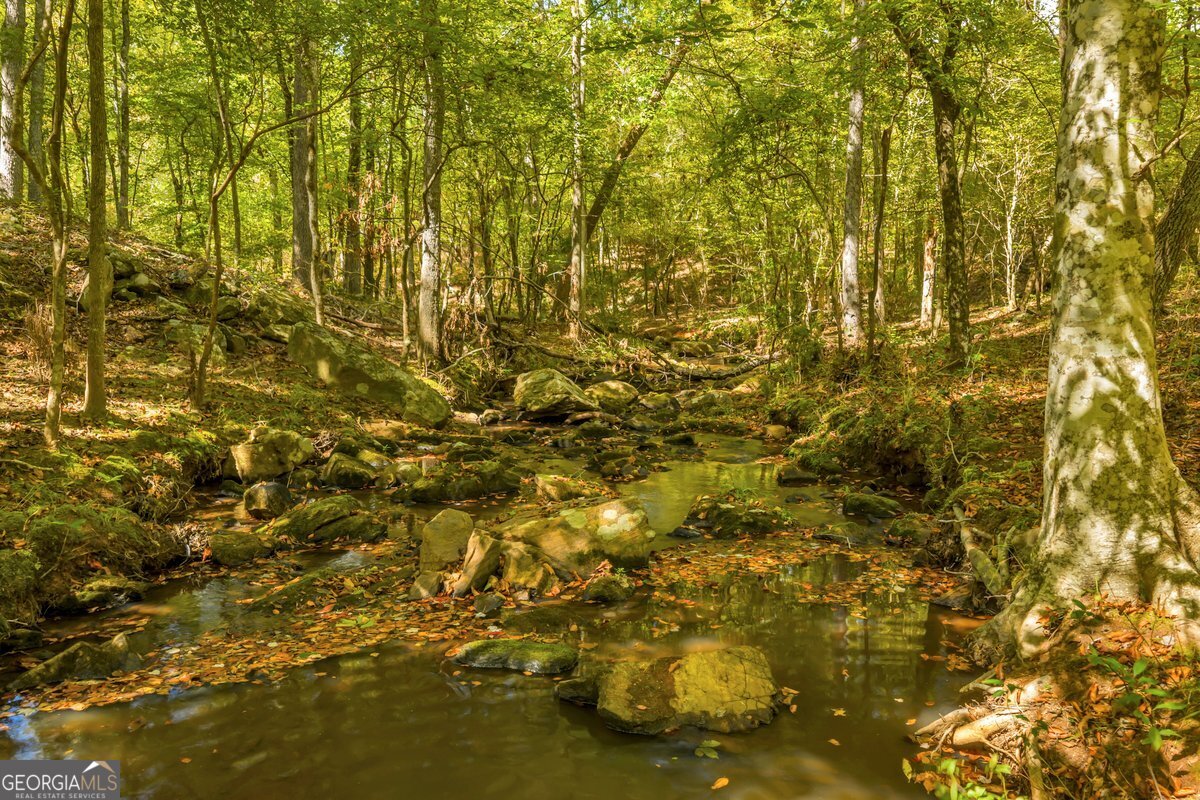 0 Abercrombie Road Culloden, GA 31016 - Photo 5 of 9