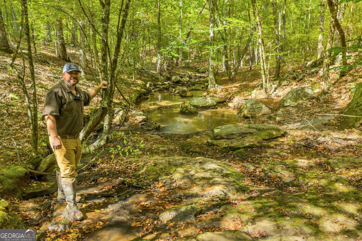 0 Abercrombie Road Culloden, GA 31016 - Photo 6 of 9