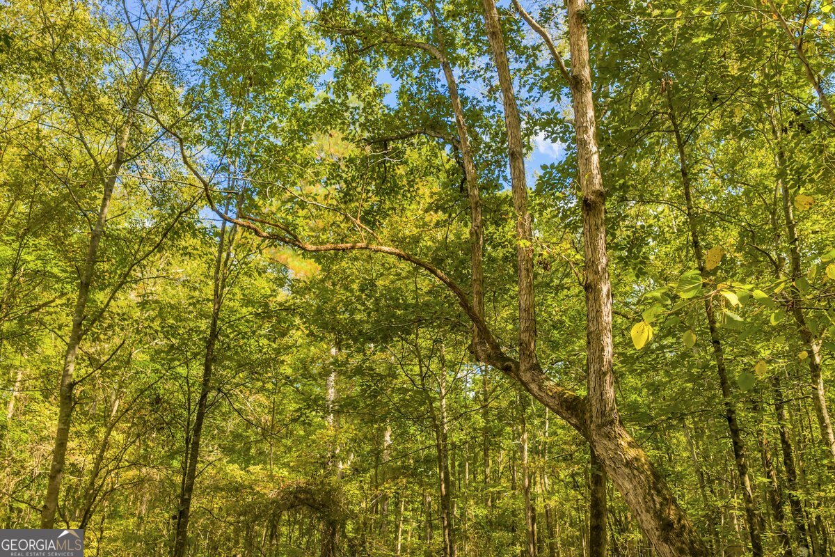 0 Abercrombie Road Culloden, GA 31016 - Photo 7 of 9