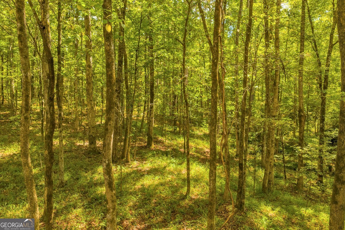 0 Abercrombie Road Culloden, GA 31016 - Photo 8 of 9