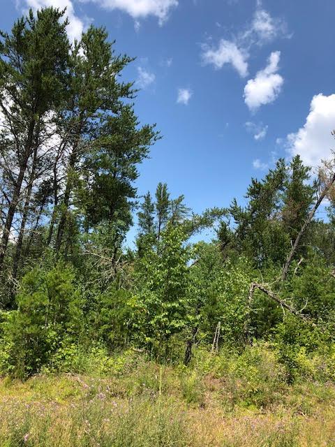 Xxx Xxx Welsh Rd Union Danbury, WI 54830 - Photo 1 of 1 Gallery Image 1