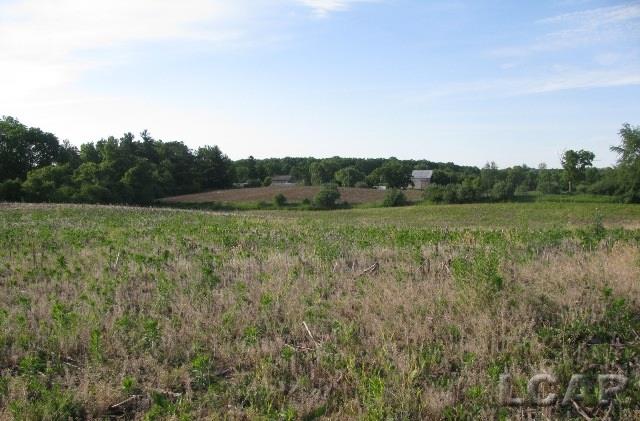 Sandy Ridge Clinton, MI 49236 - Photo 2 of 2